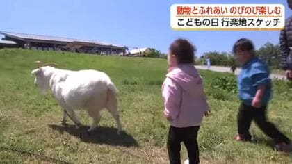 「フワフワで可愛かった」　くろべ牧場まきばの風、こどもの日に家族連れでにぎわう