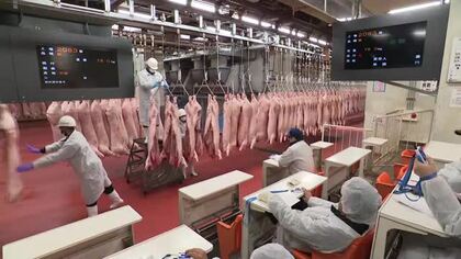 仙台市中央卸売市場で食肉部が２０２５年最後の競り　猛暑の影響あるも年末は価格安定で推移