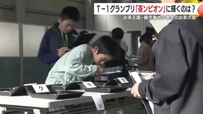 鹿児島の小学生が快挙！「T-1グランプリ」3連覇で満点優勝、次世代の“お茶王”誕生
