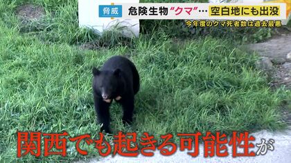 “空白地”にも出没するクマ　「夢にも思わなかった」と目撃者　去年まで目撃なし→36件の目撃情報　「市役所は何もしないのか！」ノウハウ足りず対応に苦慮