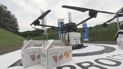 ドローンで筆柿を運ぶ！山間部の傾斜地で栽培も農家の高齢化で輸送に一苦労…実証実験を実施