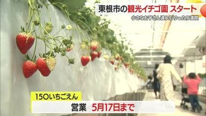 ベビーカー・車いすでもゆったりイチゴ狩り満喫・60分食べ放題　観光イチゴ園オープン　山形・東根市