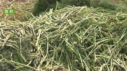 【記録的大雨】熊本県内の農林水産業関連の被害額150億円超 被害額は今後も増える見込み「実態把握を急ぐ」