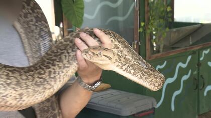 閉園危機の「ノースサファリサッポロ」 違法施設は150余りに 新たにキャンプ場の一部が市有地にはみ出す問題も…秋元札幌市長が会見「是正されない場合は監督処分」 事実上の“閉園命令”も