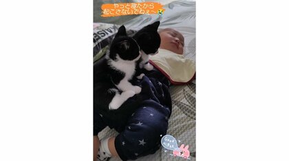 「可愛いの大渋滞」眠る赤ちゃんの上に子猫2匹がちょこん…仲良し“きょうだい”の関係を母親に聞いた