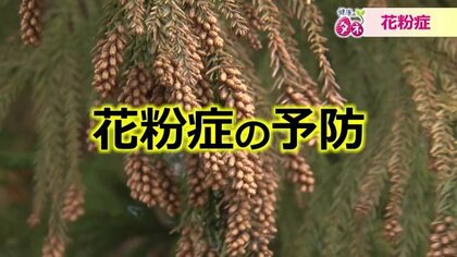 花粉を99％ガードできるマスク着用法を伝授　“時間”と“環境”意識して鼻の粘膜を回復へ【福井発】