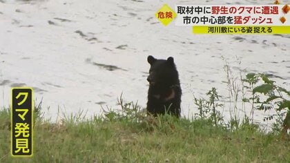 目の熊供さま　7月1日までお取り置きです。 目の熊供さま 7月1日までお取り置きです。 maxresdefault.jpg