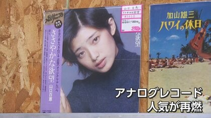 最終値下 激安1枚約333円計算 ニトロ レア盤有30枚 日本語ラップ主レコード 若者がハマる「モノとしての価値」レコードブーム再燃の謎、生産額35年
