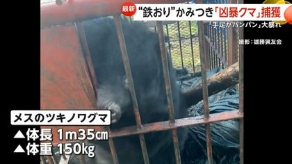 今年のクマかなり危険」“凶暴クマ”鉄檻かみつき大暴れ…旅館に“居座り