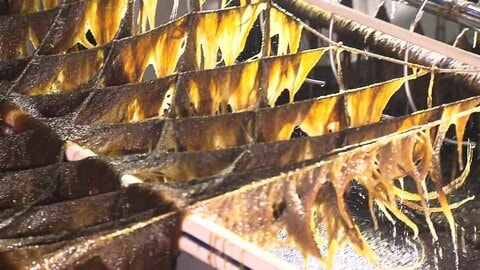 今季も“色落ち”が…有明海の養殖ノリに異変 雨が降らず海の栄養が不足 赤潮も発生「あきらめずに頑張るしかない」