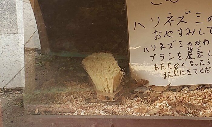 提供:豊田市鞍ケ池公園