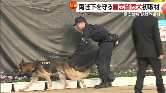 会場をくまなく調べるカペル号