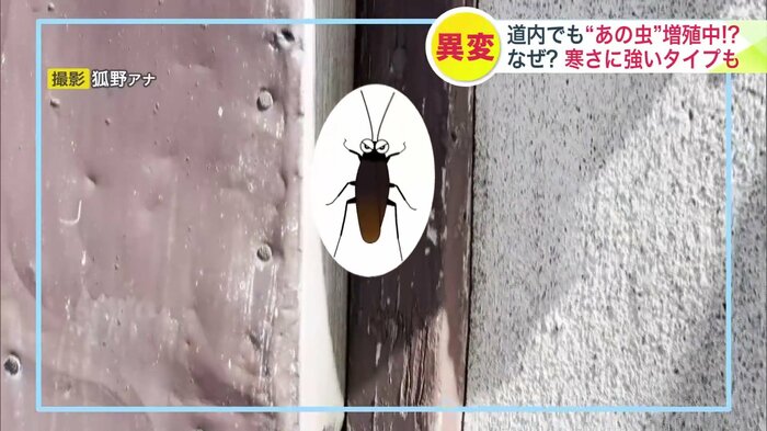 住宅の壁に…