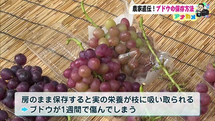 房のまま保存すると実の栄養が枝に吸い取られるという