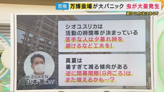 山本直博士