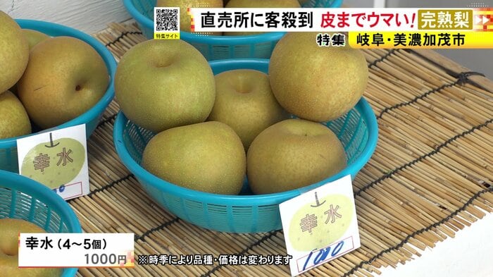ニュースONE