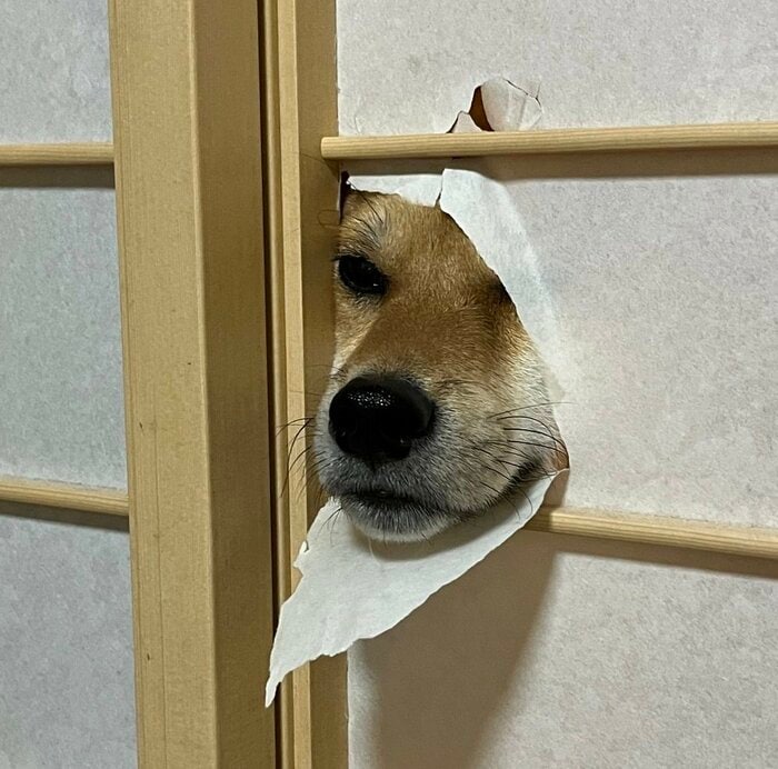 計4回も穴を開けている