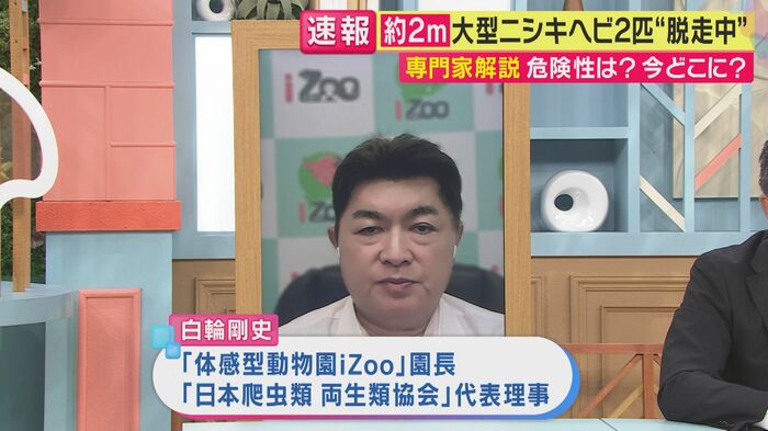 体感型動物園「iZoo」園長の白輪剛史さん(関西テレビ「旬感LIVE とれたてっ!」より)