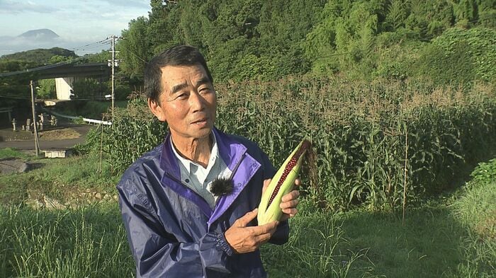 生産者 伊藤堂喜さん