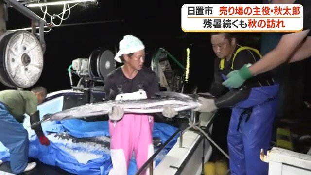船から次々と運び出される バショウカジキ