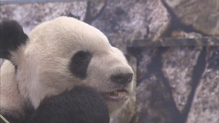 永明