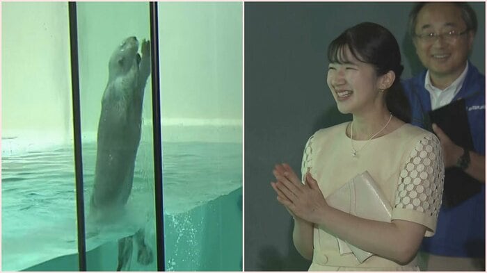 ニュースONE