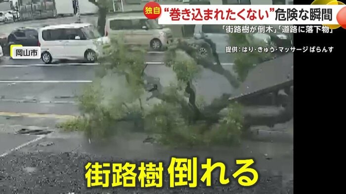 街路樹が倒れた瞬間