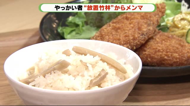 食べることが“環境保全”に 放置竹林を使った「静岡めんま」