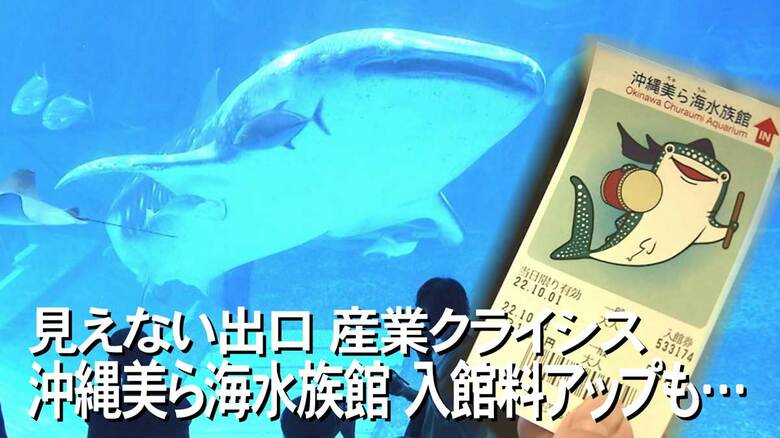 「沖縄美ら海水族館」が初めて入館料値上げに　「海水使って腐食激しく…」最大要因は維持修繕費用｜FNNプライムオンライン