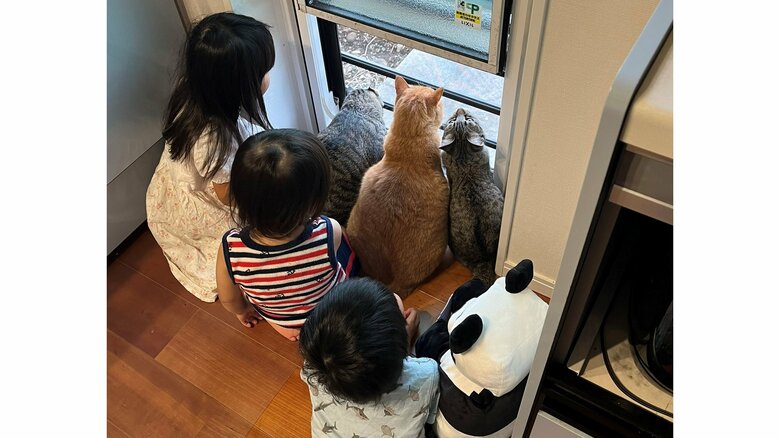 「可愛いが大集合」窓から外を見る猫と3きょうだいの後ろ姿が平和…視線の先には何があった？撮影した父親に聞いた｜FNNプライムオンライン