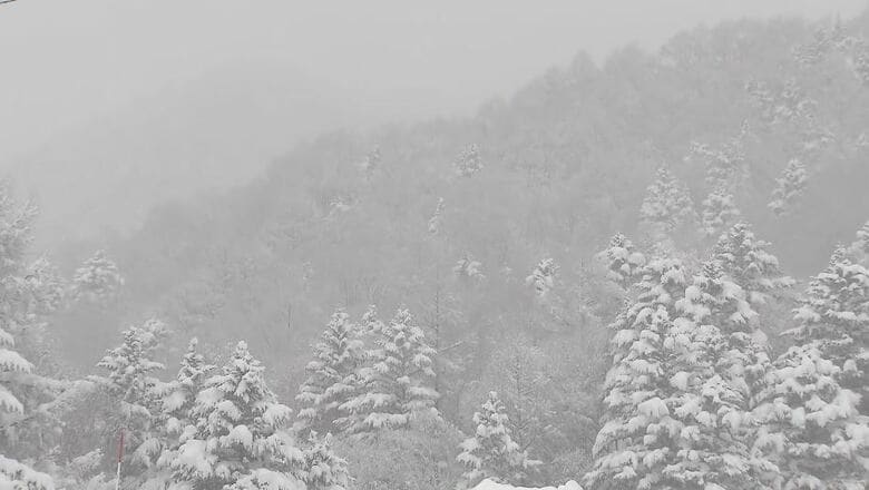 バックカントリーで外国籍の男性が行動不能　知人を通じて救助要請　一夜明け救助　けがなし　長野・高山村の山中でスノーボード中に遭難｜FNNプライムオンライン