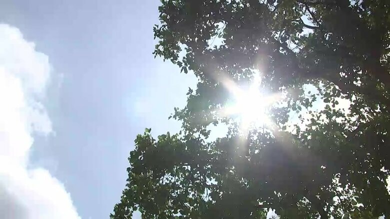 岩手県内で熱中症疑いで15人が病院に搬送　高校野球応援の17歳女性や屋外作業中だった30代男性など【7月15日】｜FNNプライムオンライン