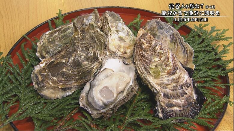 能登半島地震の影響でカキが成長?!濃厚なのに食べやすい“能登かき”生産者は「能登に足を運んでくださるネタに」｜FNNプライムオンライン