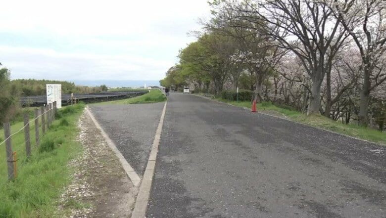 【速報】犬の“リード”と車が接触し高齢女性が重傷負った事件　81歳運転手の男をひき逃げの疑いで逮捕　容疑を否認｜FNNプライムオンライン