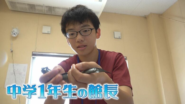 中学1年の“さかなクン” 最年少の水族館長に “不思議の海”も紹介 「子供達が生き物を学べる場所に」【福岡発】｜FNNプライムオンライン