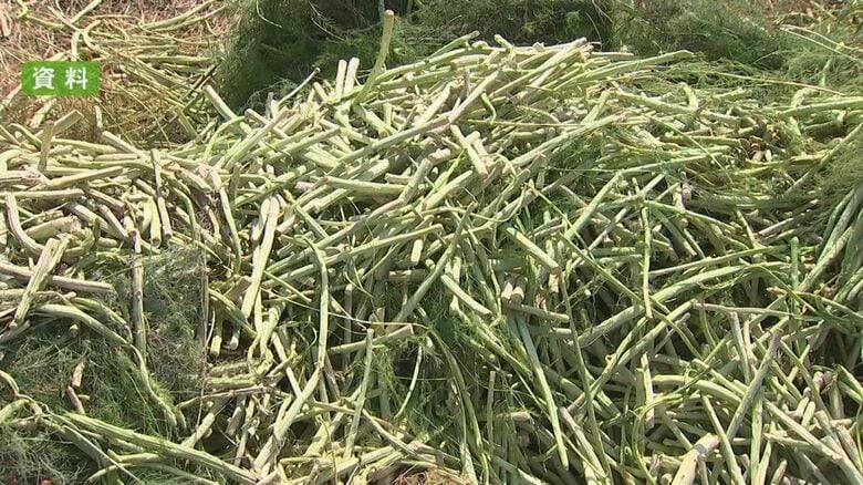 【記録的大雨】熊本県内の農林水産業関連の被害額150億円超 被害額は今後も増える見込み「実態把握を急ぐ」｜FNNプライムオンライン