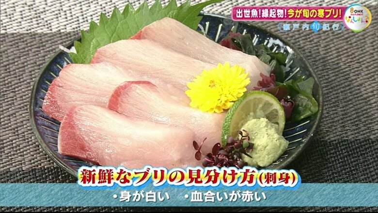 新鮮なブリの見分け方