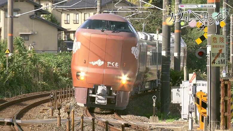 新型やくも273系
