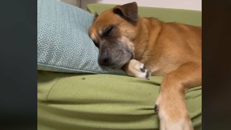 眠りに入る瞬間