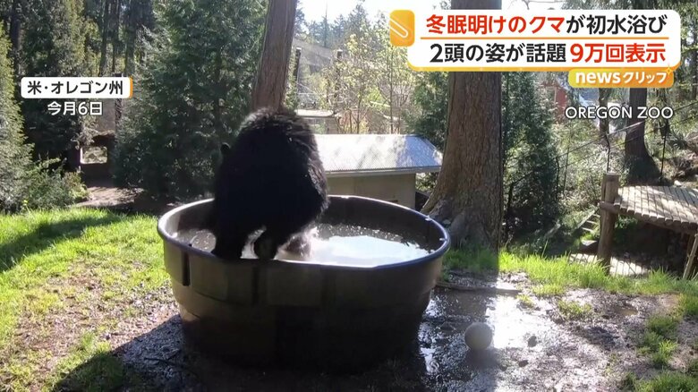 約9万回表示されるなど話題を呼んだ動画