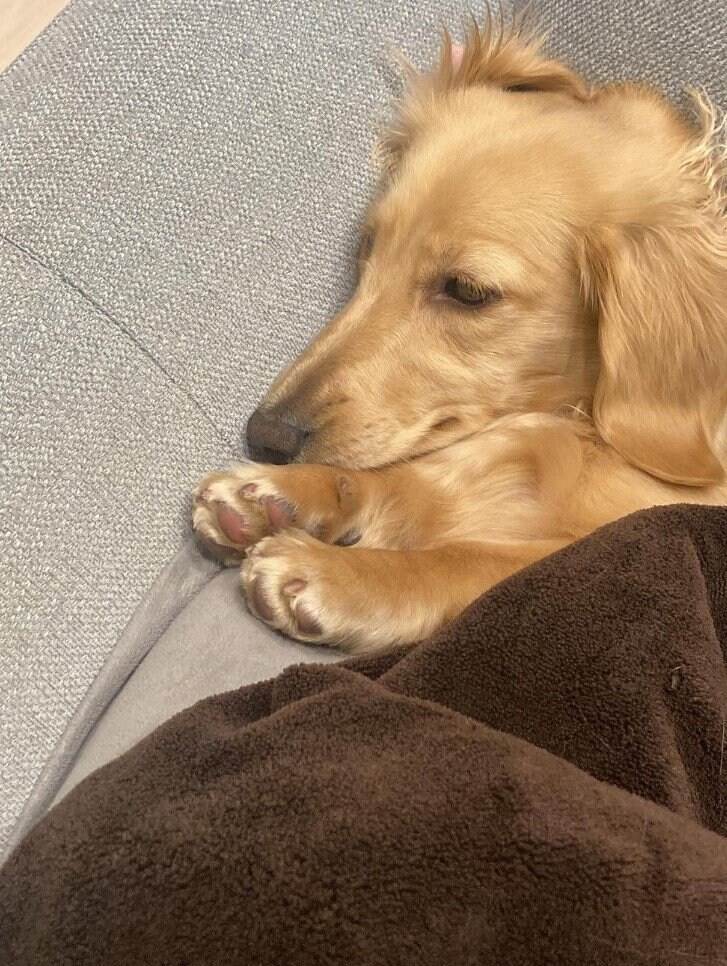 提供：___0516.wanさん