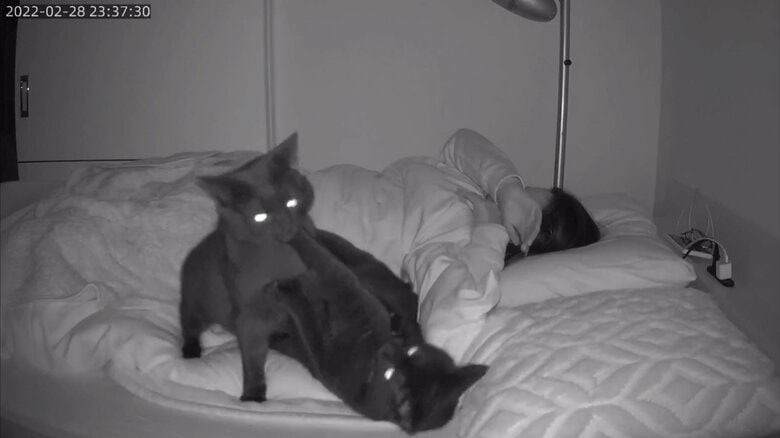 この時は流石に起きたそう