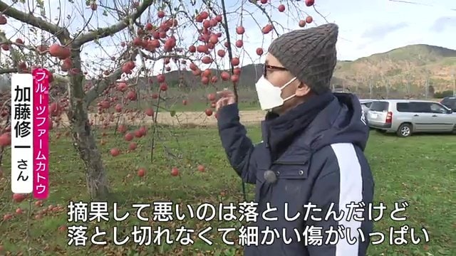 収穫の時期を迎えたが…