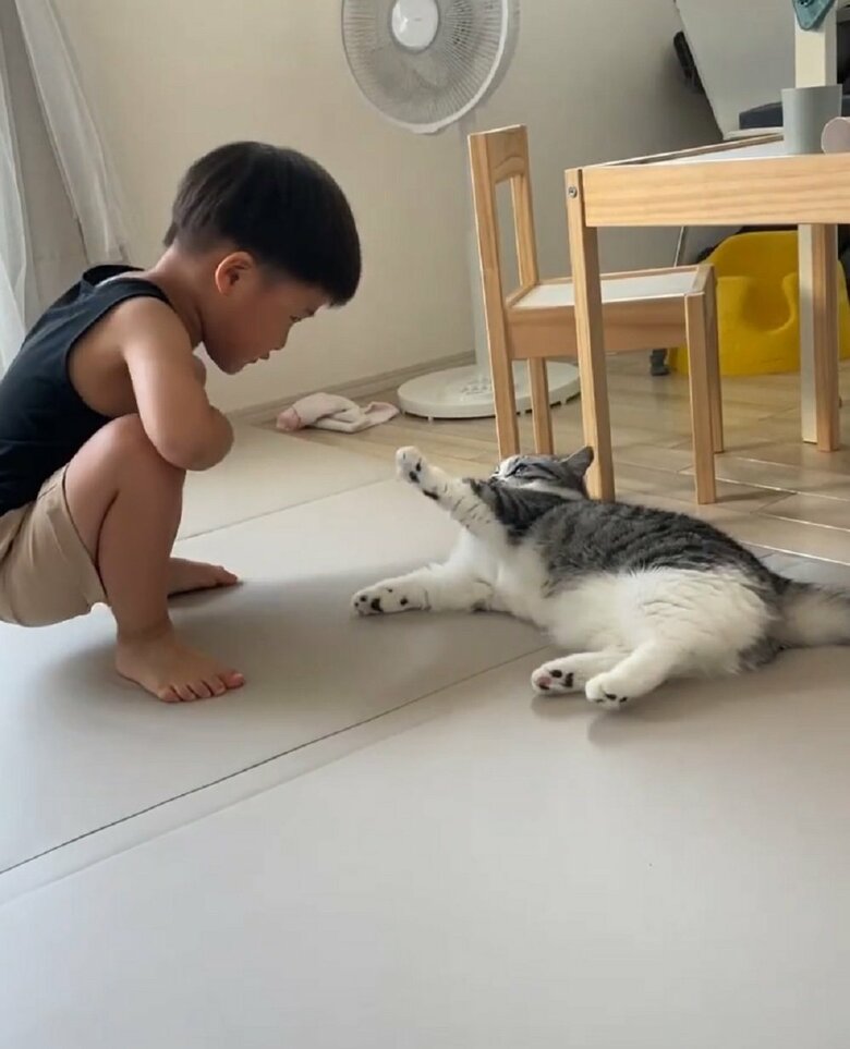 手を伸ばしてくるふにちゃん