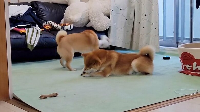 わざと当てにいっているのだろうか