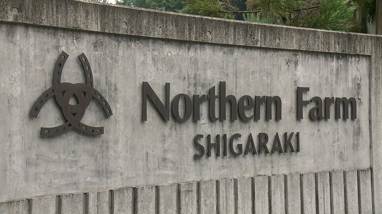 ノーザンファームしがらき