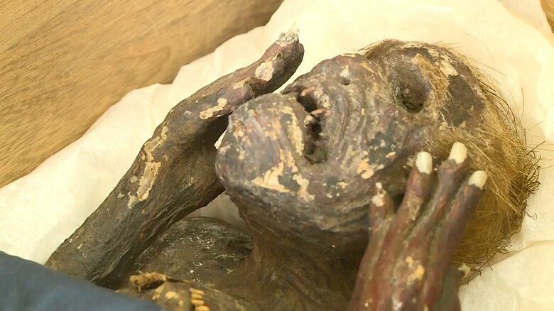 「歯」や「爪」も確認できる