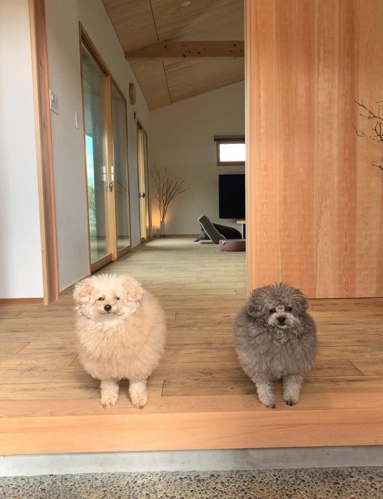 提供：＠tsuru_323さん