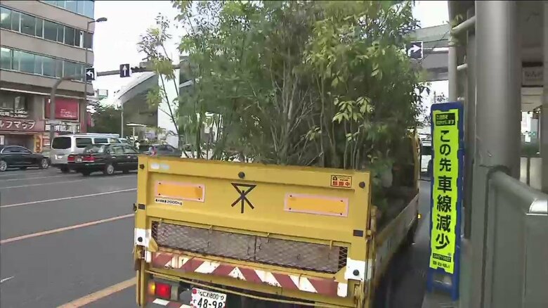 鉢植えを譲って欲しいという声も