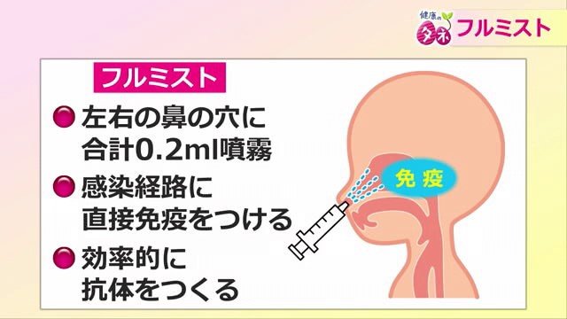 感染経路に直接免疫をつける仕組み